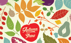Autumn Show Poster